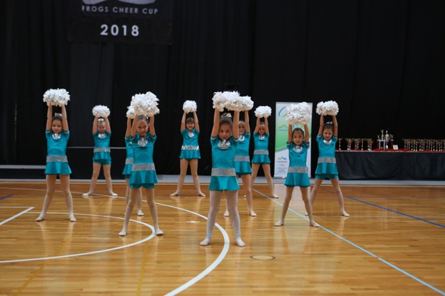 FROGS CHEERCUP 2018